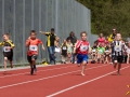 dsl-2013-102.jpg