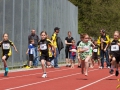 dsl-2013-106.jpg