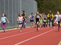 dsl-2013-112.jpg