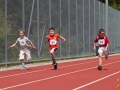 dsl-2013-114.jpg