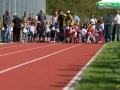 dsl-2013-18.jpg
