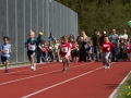 dsl-2013-21.jpg