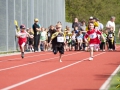 dsl-2013-23.jpg