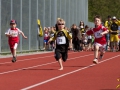 dsl-2013-24.jpg