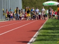 dsl-2013-26.jpg