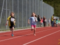 dsl-2013-30.jpg