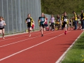 dsl-2013-33.jpg