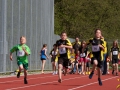 dsl-2013-35.jpg