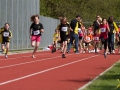 dsl-2013-36.jpg