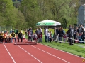 dsl-2013-4.jpg