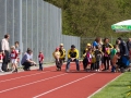 dsl-2013-5.jpg