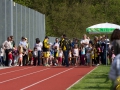 dsl-2013-6.jpg