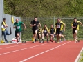 dsl-2013-81.jpg