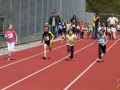 dsl-2013-99.jpg