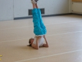 DSL-2014-105.jpg