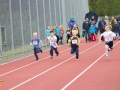 DSL-2014-119.jpg