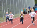 DSL-2014-120.jpg