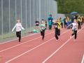 DSL-2014-130.jpg