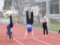 DSL-2014-146.jpg