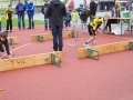 DSL-2014-158.jpg