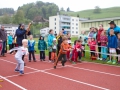 DSL-2014-17.jpg