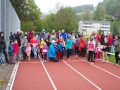 DSL-2014-2.jpg