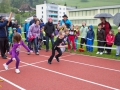 DSL-2014-22.jpg