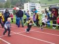 DSL-2014-32.jpg