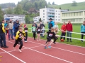 DSL-2014-40.jpg