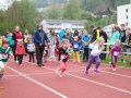 DSL-2014-5.jpg