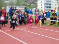 DSL-2014-7.jpg