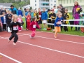 DSL-2014-8.jpg