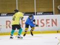 Turnverein Eishockey 2016 18