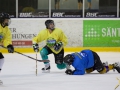 Turnverein Eishockey 2016 24