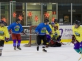 Turnverein Eishockey 2016 29