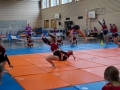 Jugendturnfest-2014-106.jpg