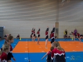 Jugendturnfest-2014-54.jpg
