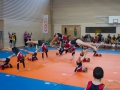 Jugendturnfest-2014-60.jpg