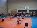 Jugendturnfest-2014-62.jpg