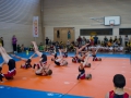 Jugendturnfest-2014-65.jpg