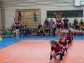Jugendturnfest-2014-66.jpg