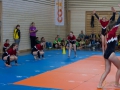 Jugendturnfest-2014-69.jpg