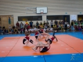 Jugendturnfest-2014-75.jpg