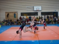 Jugendturnfest-2014-76.jpg