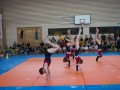Jugendturnfest-2014-79.jpg
