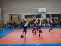 Jugendturnfest-2014-80.jpg