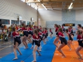 Jugendturnfest-2014-91.jpg