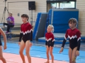 Jugendturnfest-2014-93.jpg