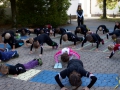 Jugendturnfest Wil 2015  31