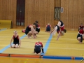 Jugendturnfest Kirchberg 2016 3 (2)